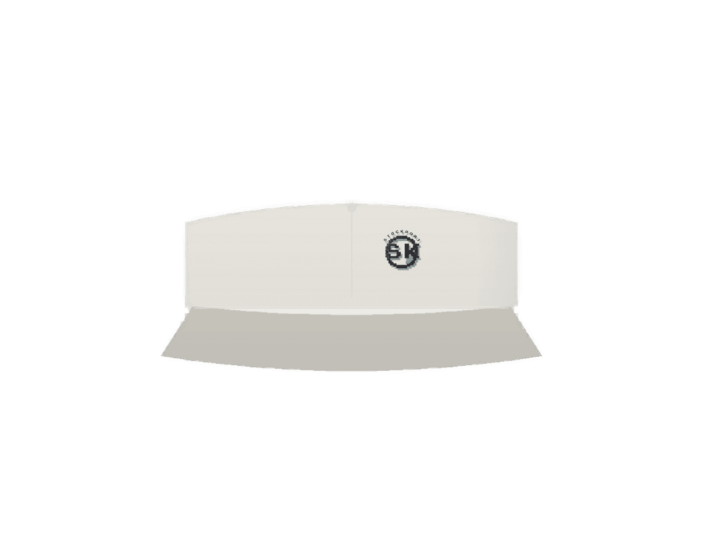 STROBA 8-Bit Cap — Dad Cap